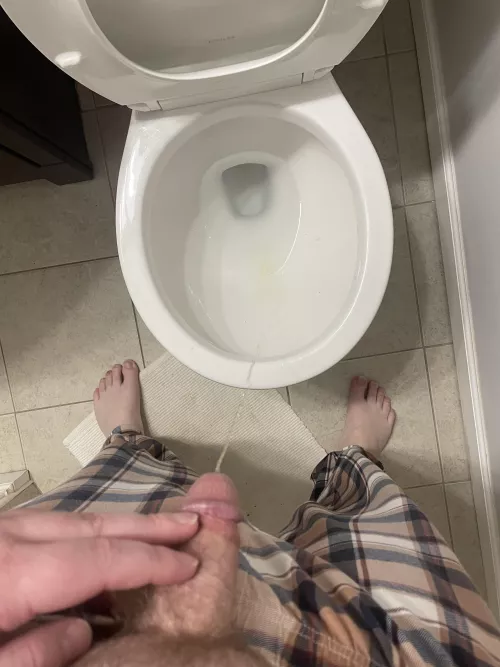 Where should I put my stream next time? by TDLover10