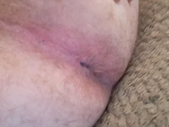 Who would pound and cream this.... by Bibearking1976