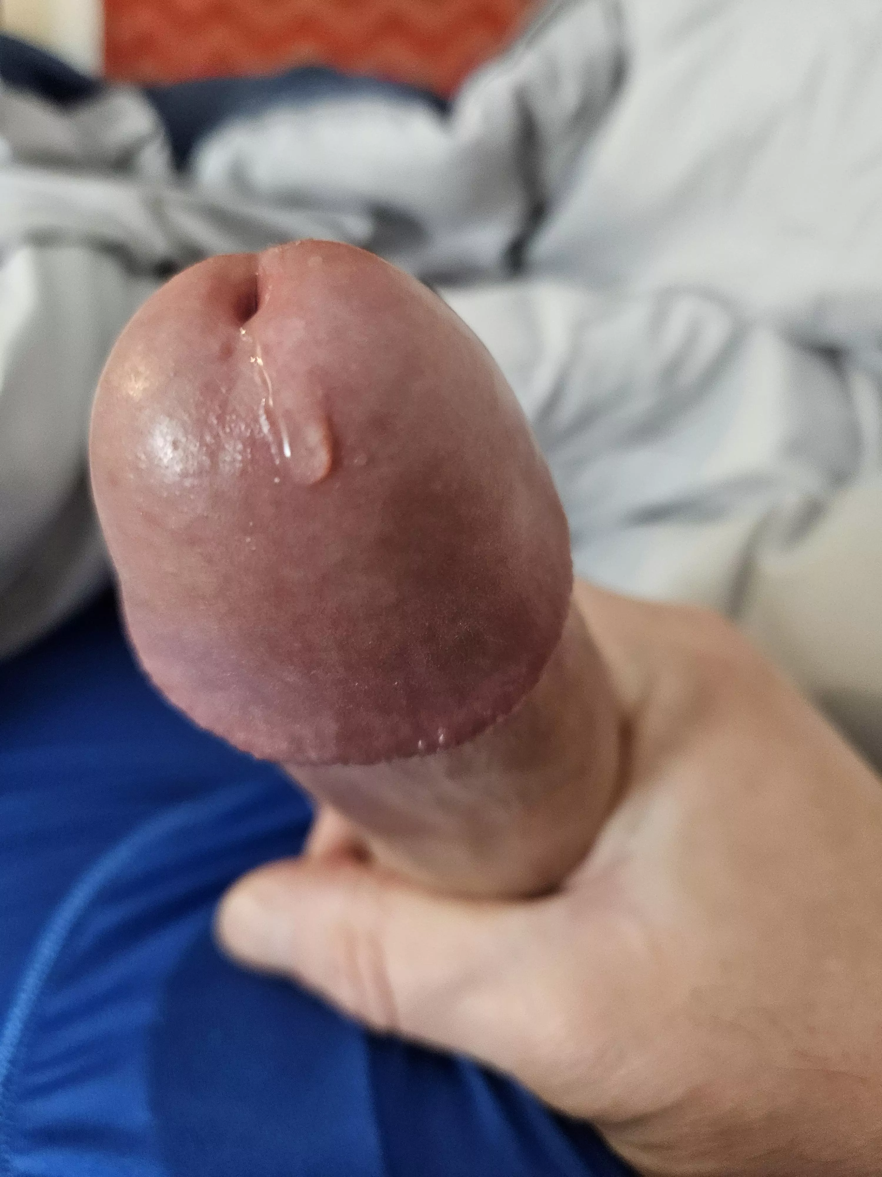 [46] nice drip posted by GreenWeenie03