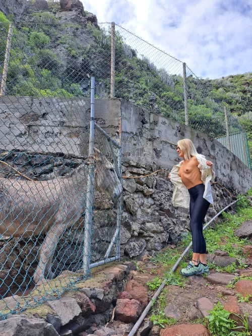 A simple way how to make friends  by vulpesnudista