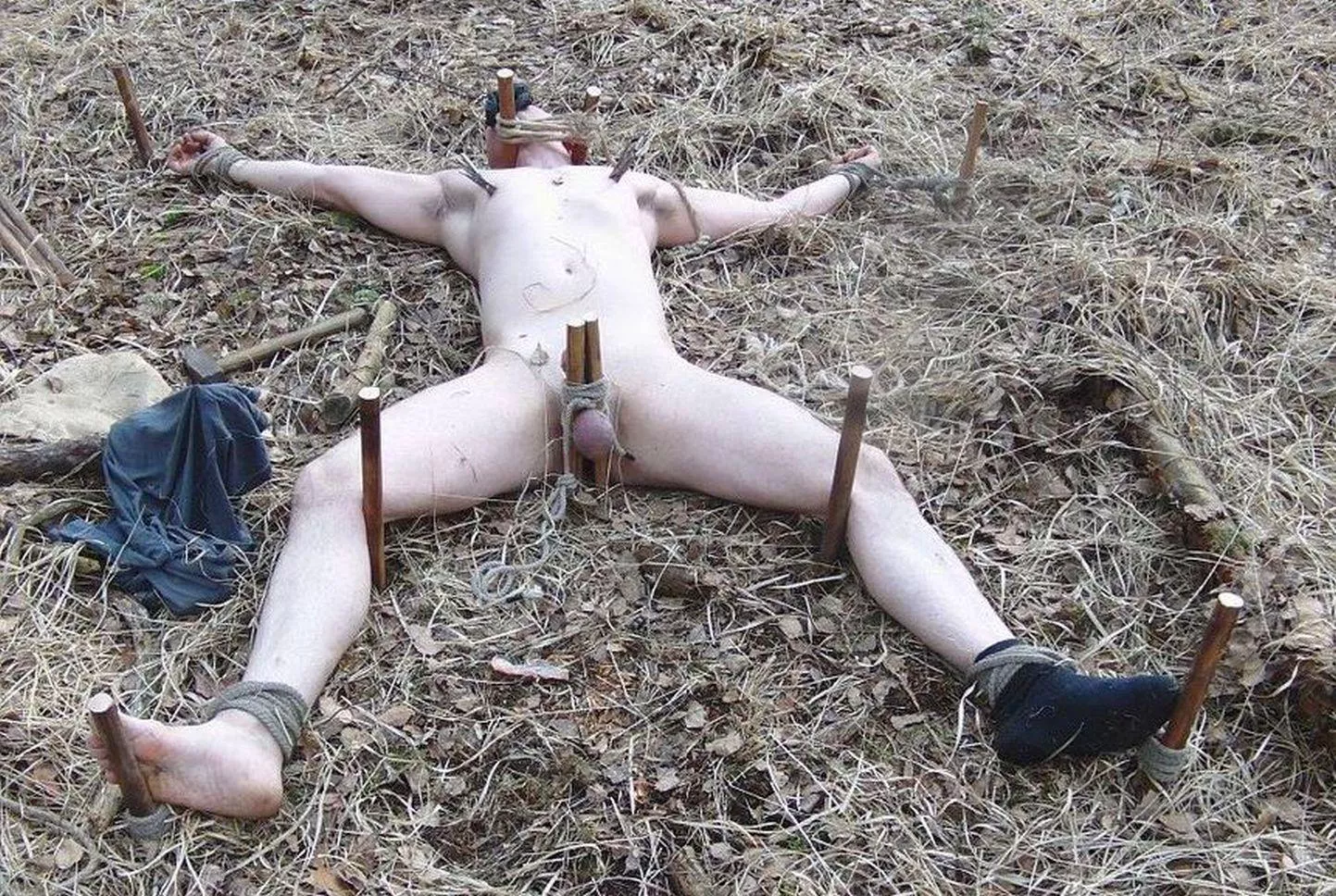 After my wife and her bull staked me to the ground in the field behind our house, I heard her tell him that now insects will do the rest of the work punishing me. posted by Chuck4652