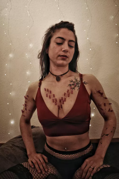 chaos and order by semenawa