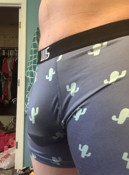 Do you wanna see my cocktus? by bryanearlspilner34