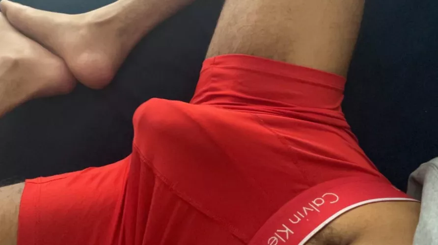 Morning Wood by Winter-Log-6830