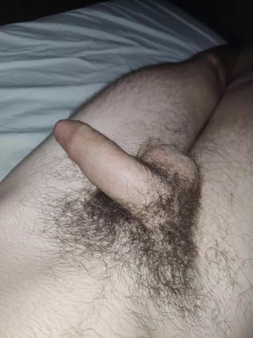My Cock at Rest (5.50 inches or 14cm)  by [deleted]