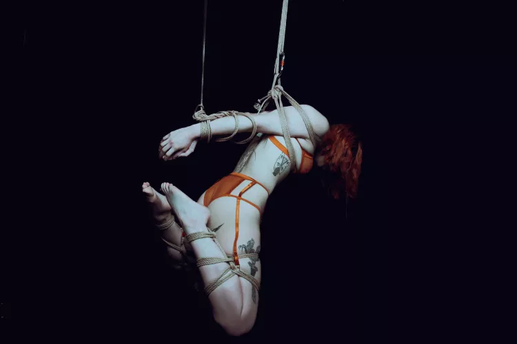 New work from yesterday  by cerberux69