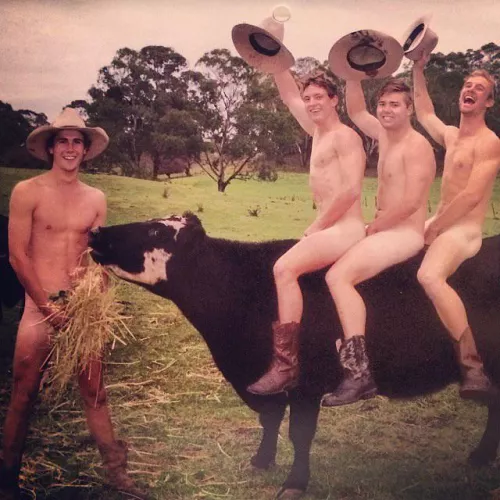 on the farm by cryingoverspiltmilk0