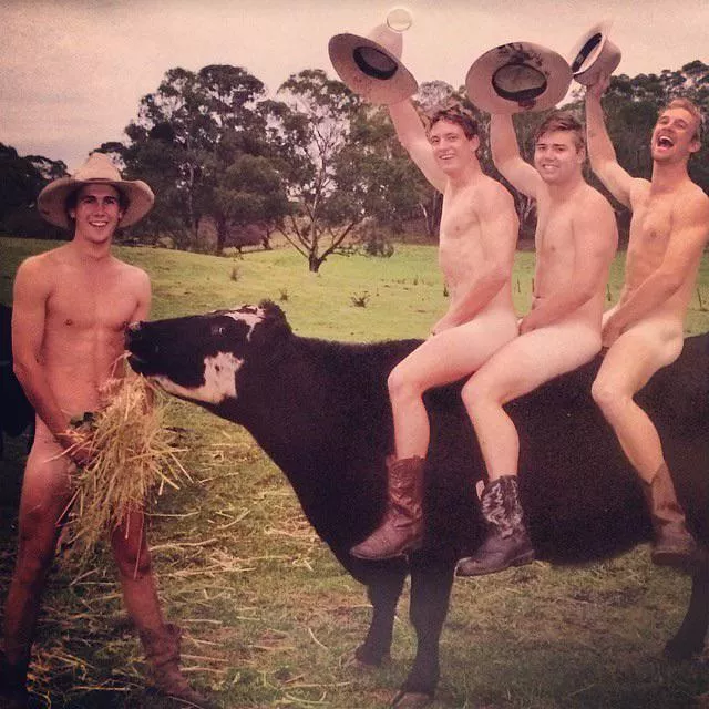 on the farm posted by cryingoverspiltmilk0