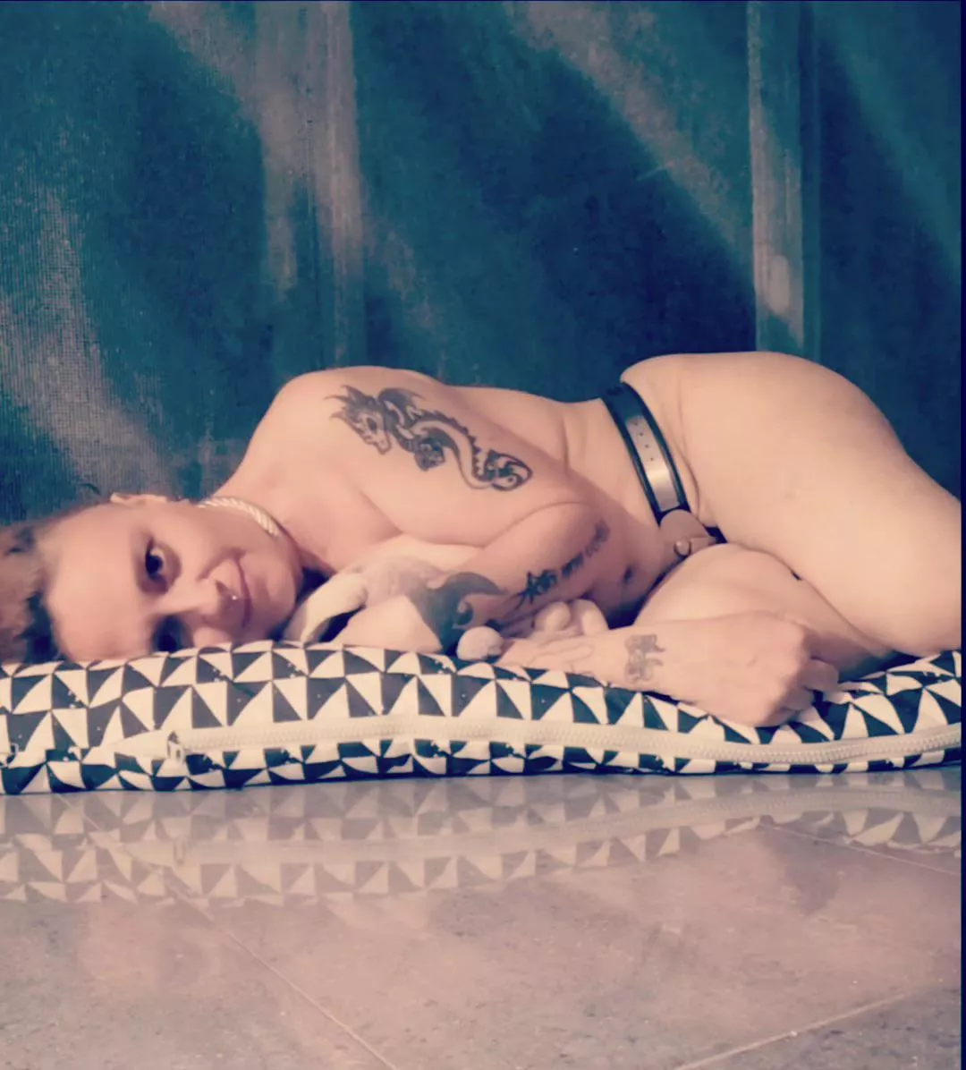 Resting like a good belted pet posted by MissNekotied