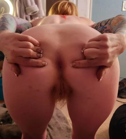 Taco Tuesday  by ababypinecone