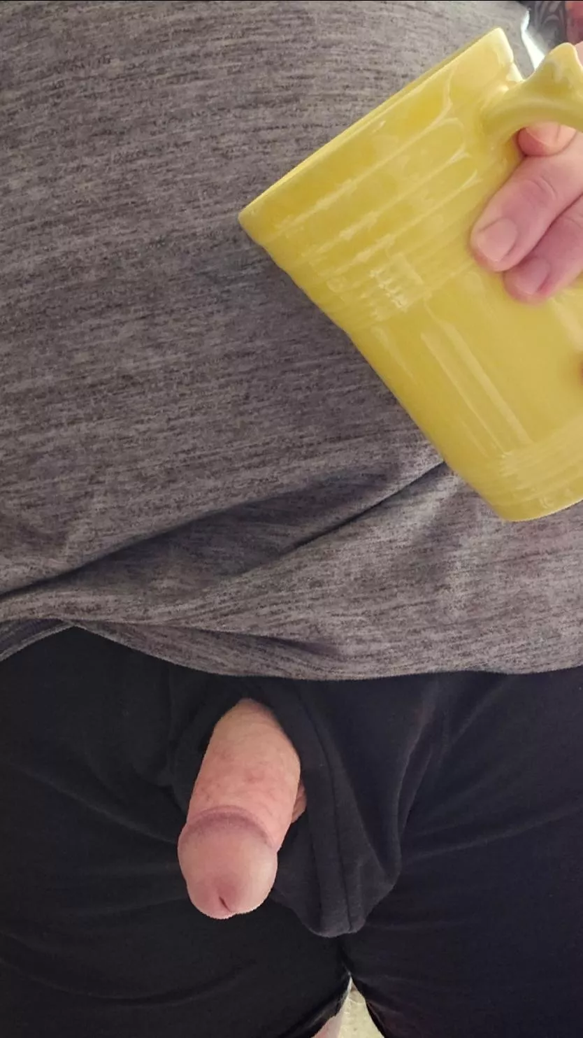 Trying to decide which creamer I like best between, rice milk, oat milk or Silk.  posted by Becauseupsidedown