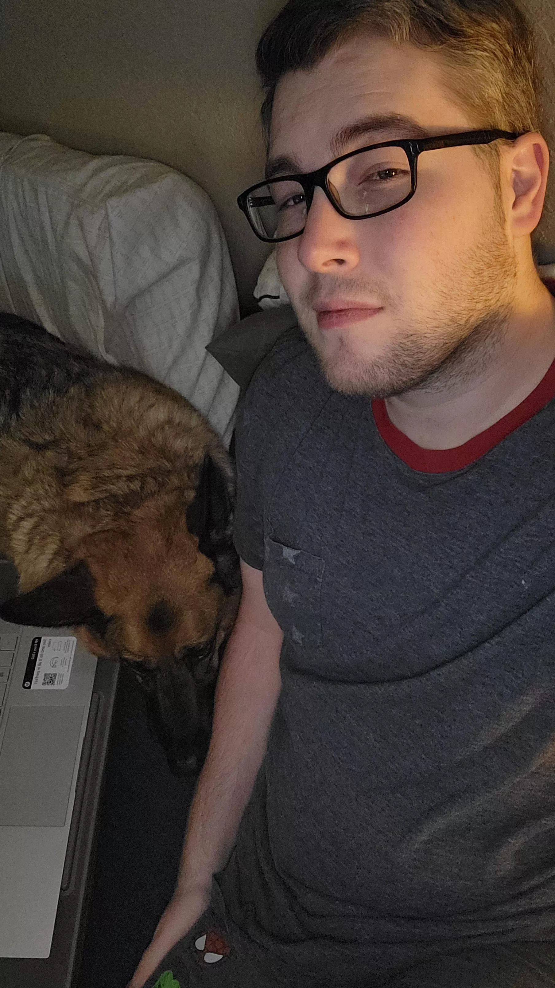 Trying to do some work and she wants cuddles... Anyone care to join?  posted by UndercoverClues94