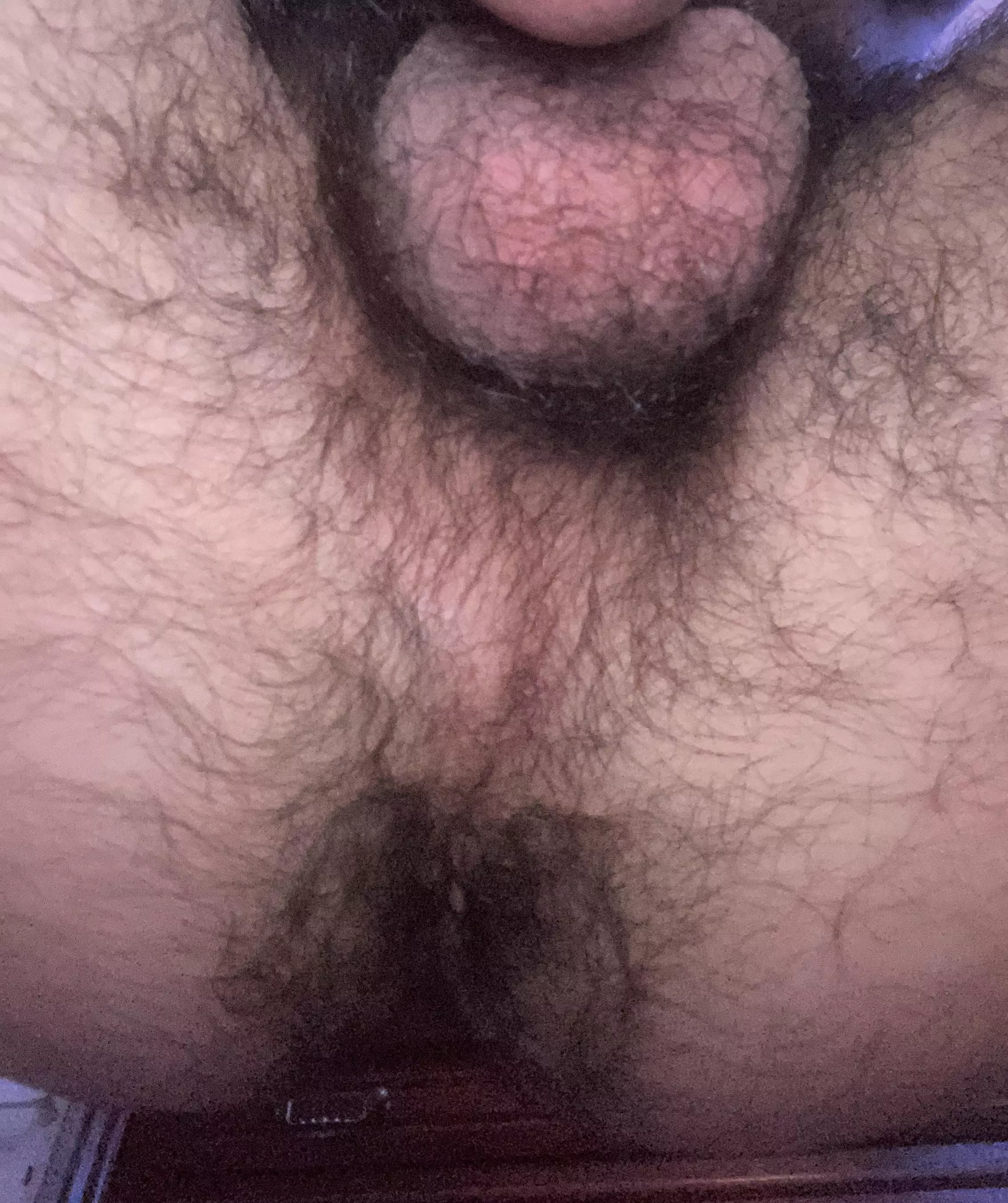 Wanna eat it or fuck it ?  posted by YgHairy