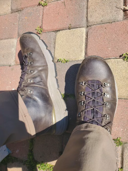 Alright bros, what do I use to condition these guys by TacoT11