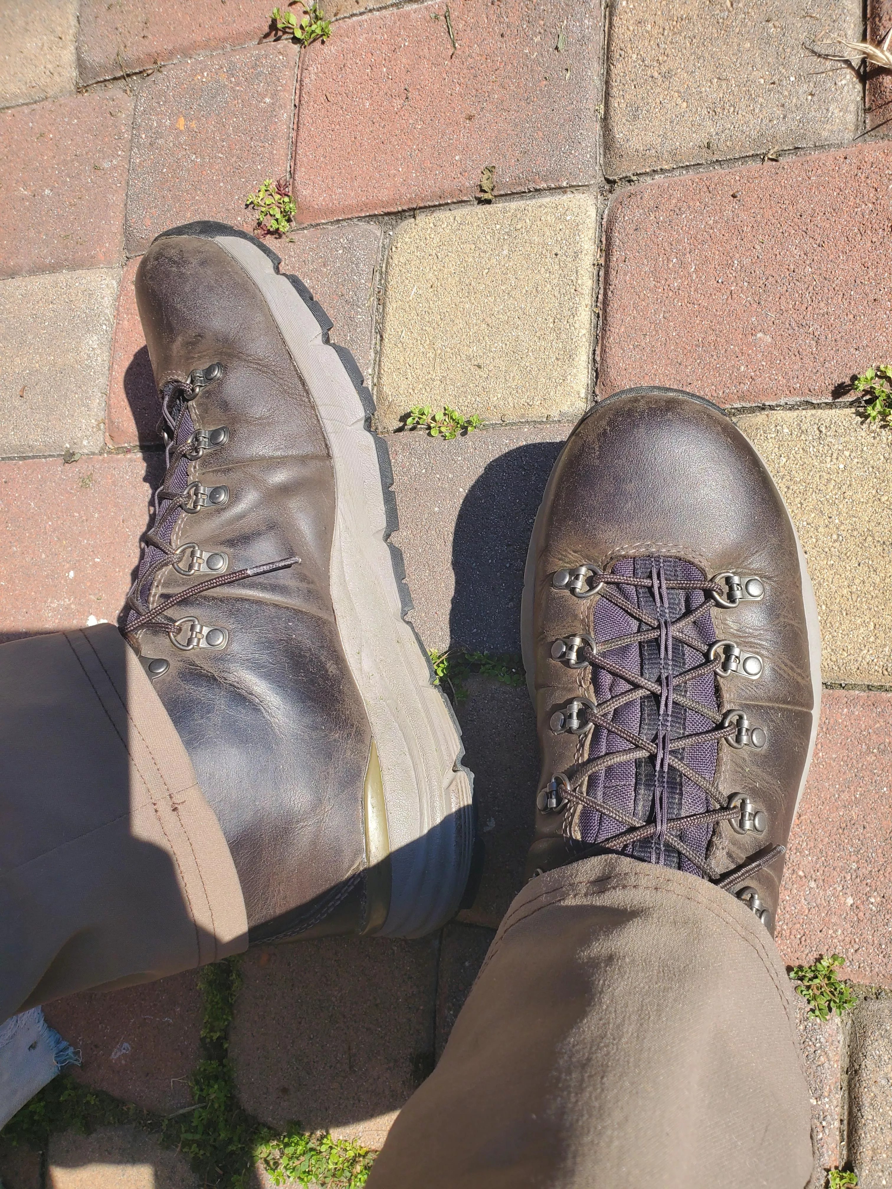 Alright bros, what do I use to condition these guys posted by TacoT11