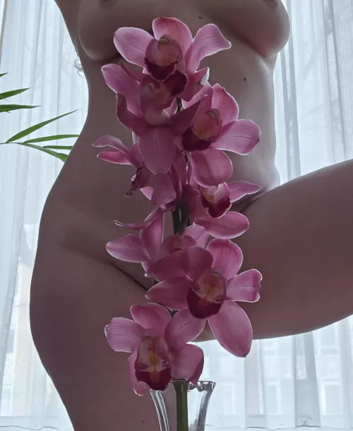 Aren't they beautiful?  by RichProtectionlove