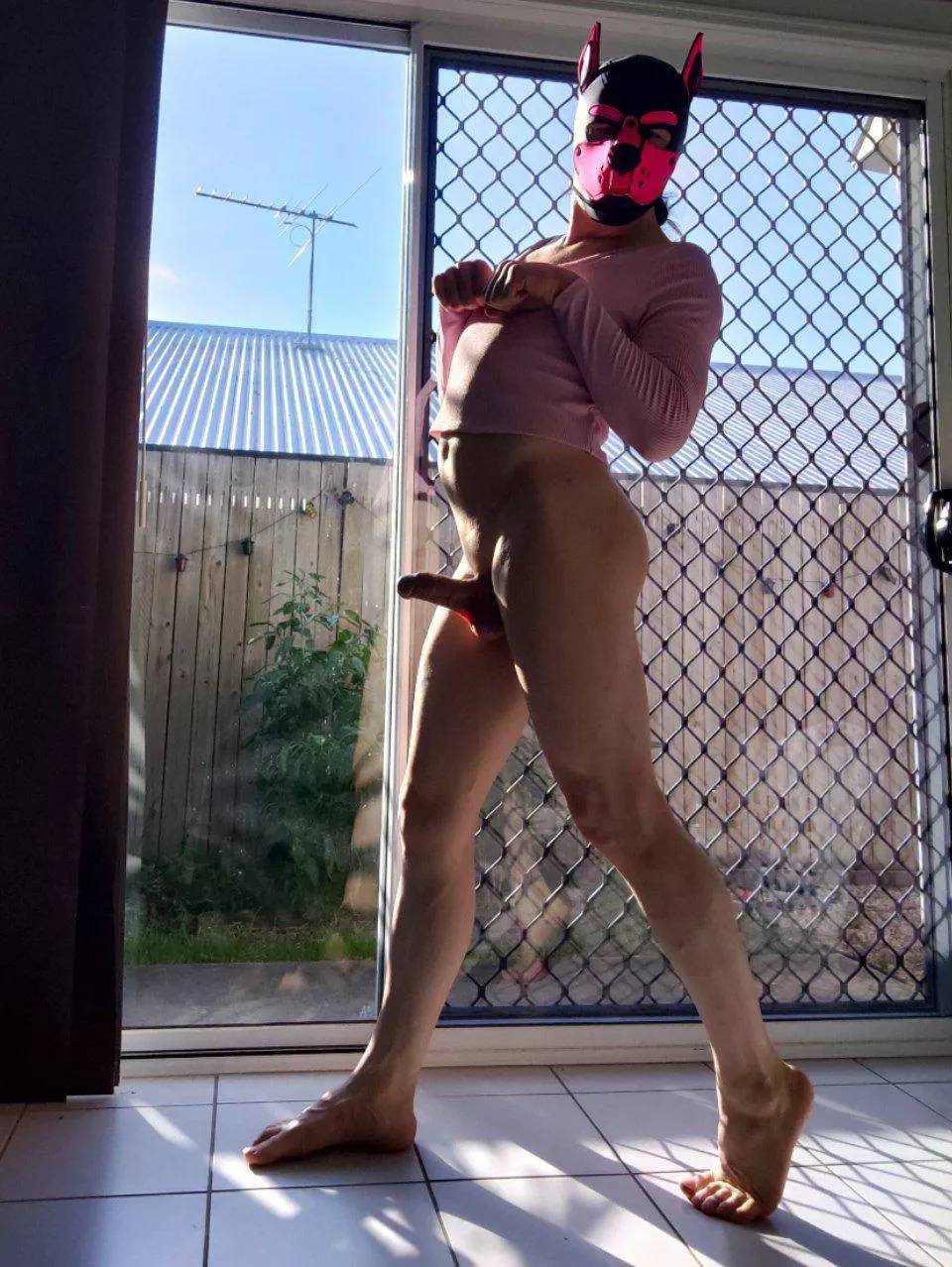 basking in the sunlight~ who wants to join me? posted by throwthrowthrowplace