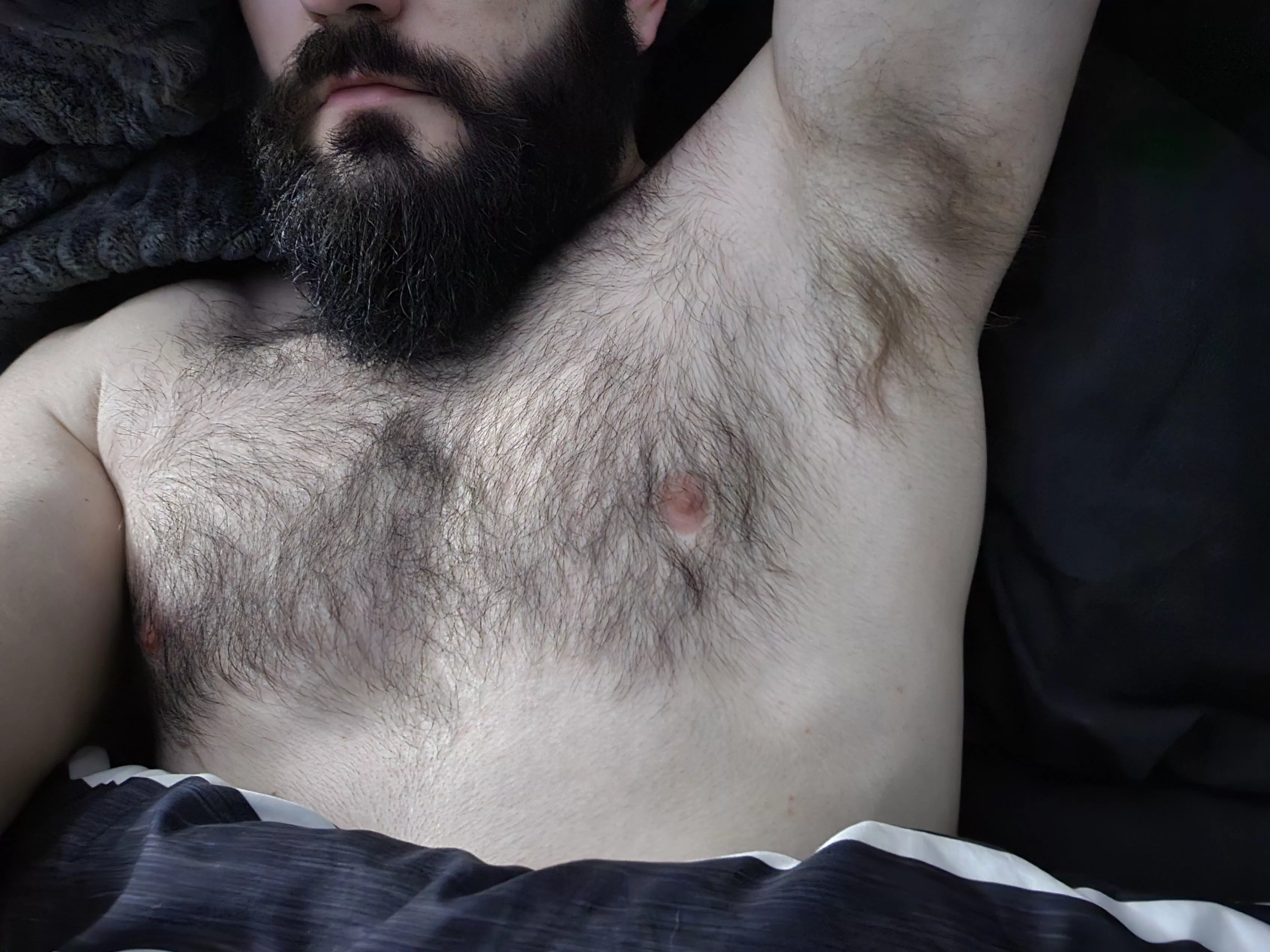 Beard included posted by NonEntity_90