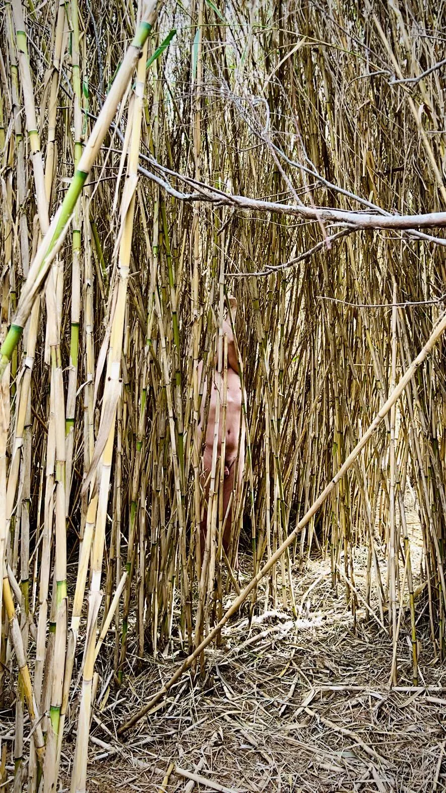 Behind the scenes posted by neomysfodienss