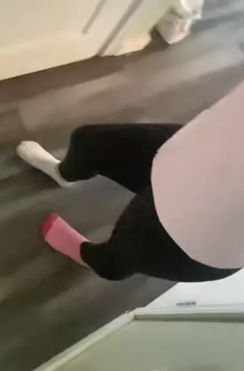 Black leggings by Ancient-Stress-7049