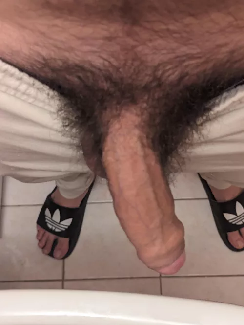 casual pubes by spartan_boy_