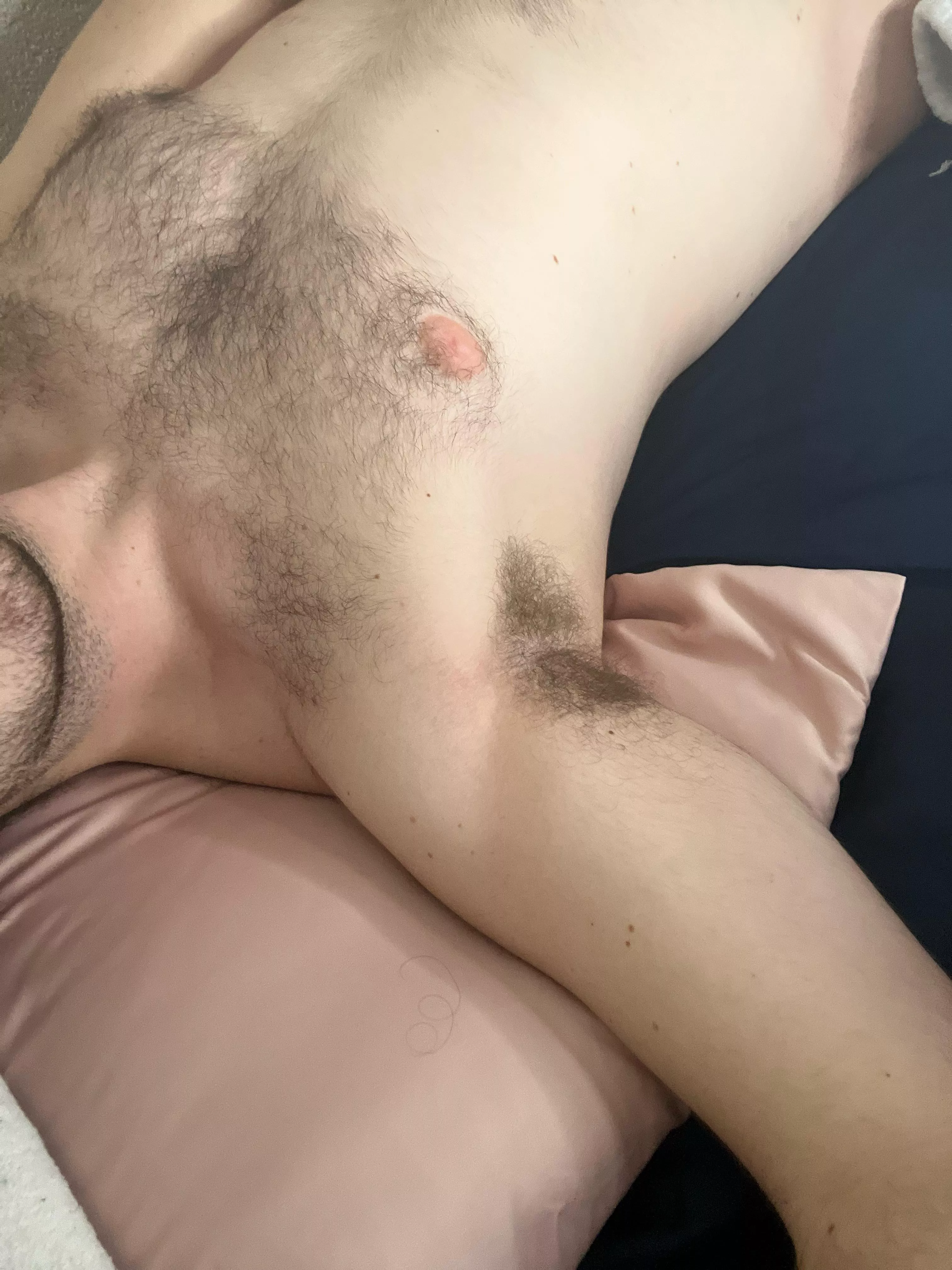 Come on boys, dinner time  posted by Interesting-Sink-832