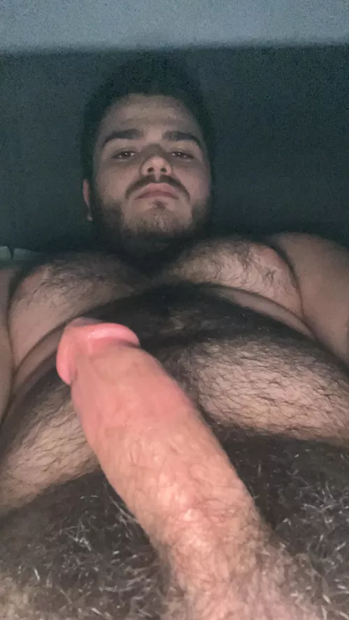 Cut and hairy bear cock by Former_Judge6015