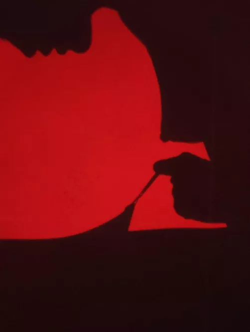 French noir (myself) by Satanoperkele