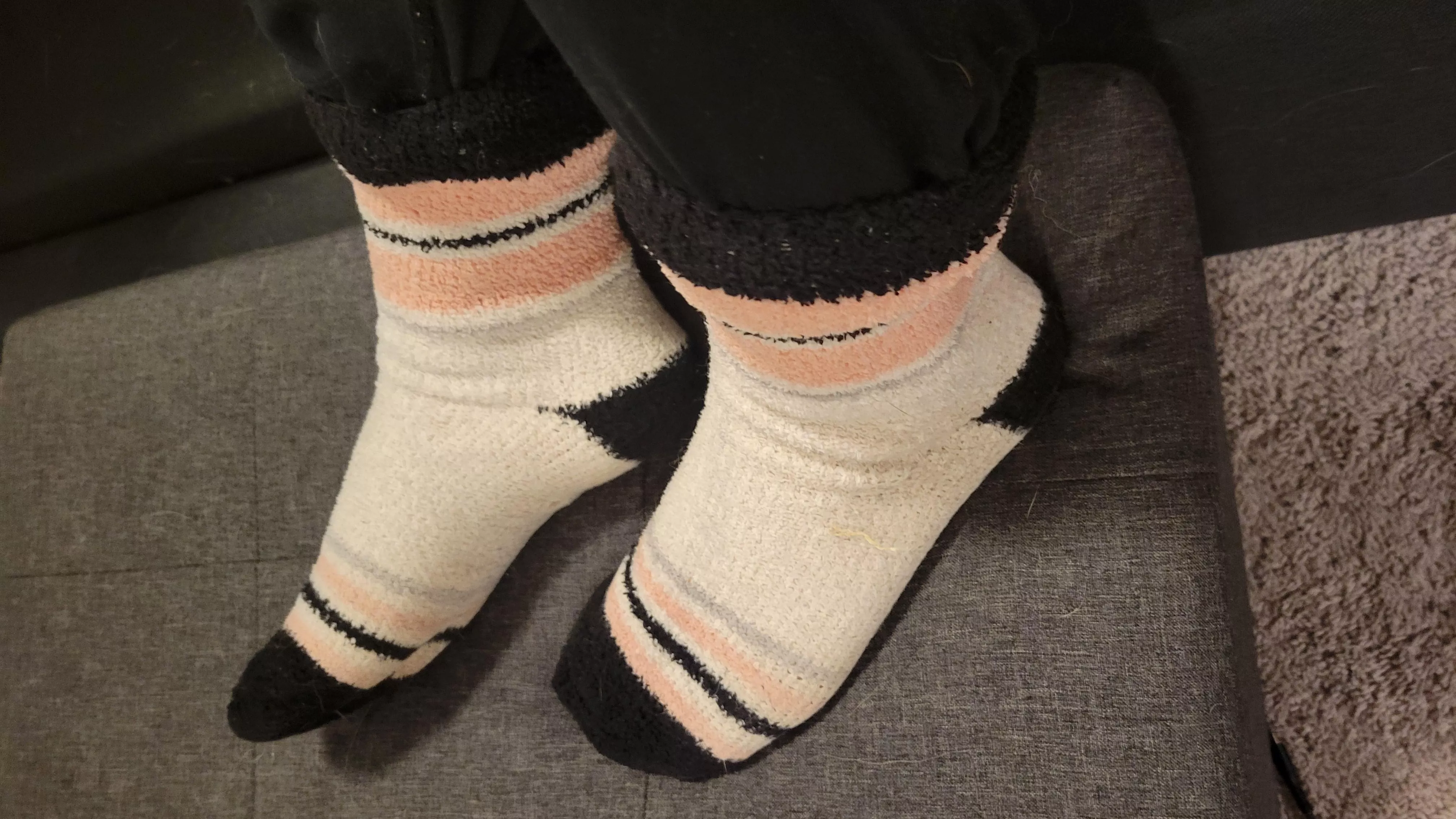 Fuzzys are my favorite 🥰 posted by Penny_Peachess