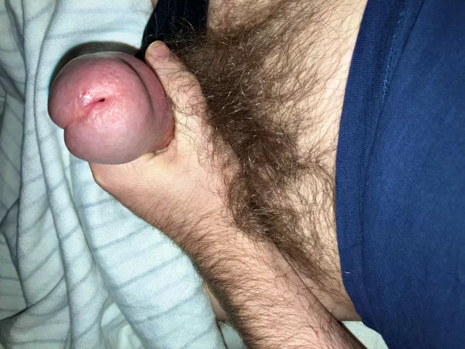 Hold on a sec while I pull my fat head from this pubes nest by MdeBurquage