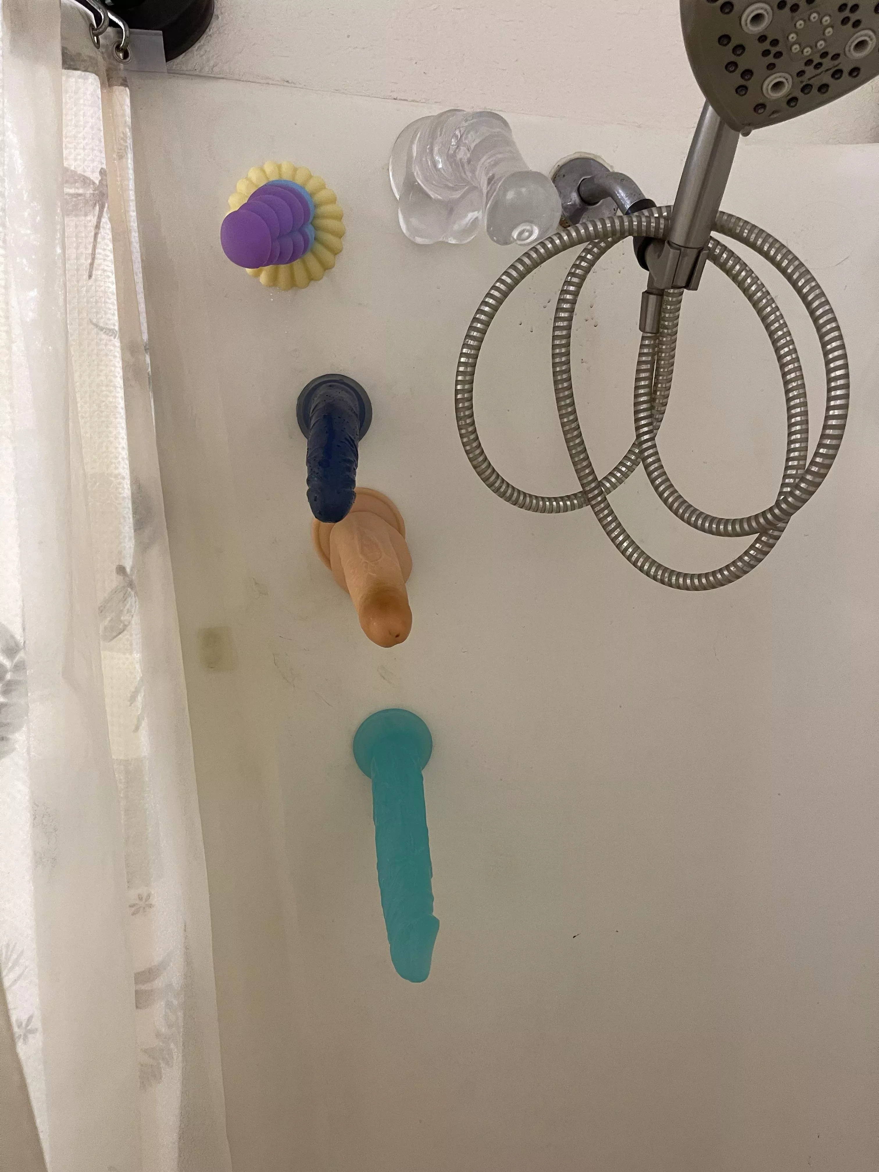 I just can’t choose, help? posted by tantme