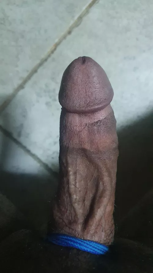 I want to get use by msmoker121