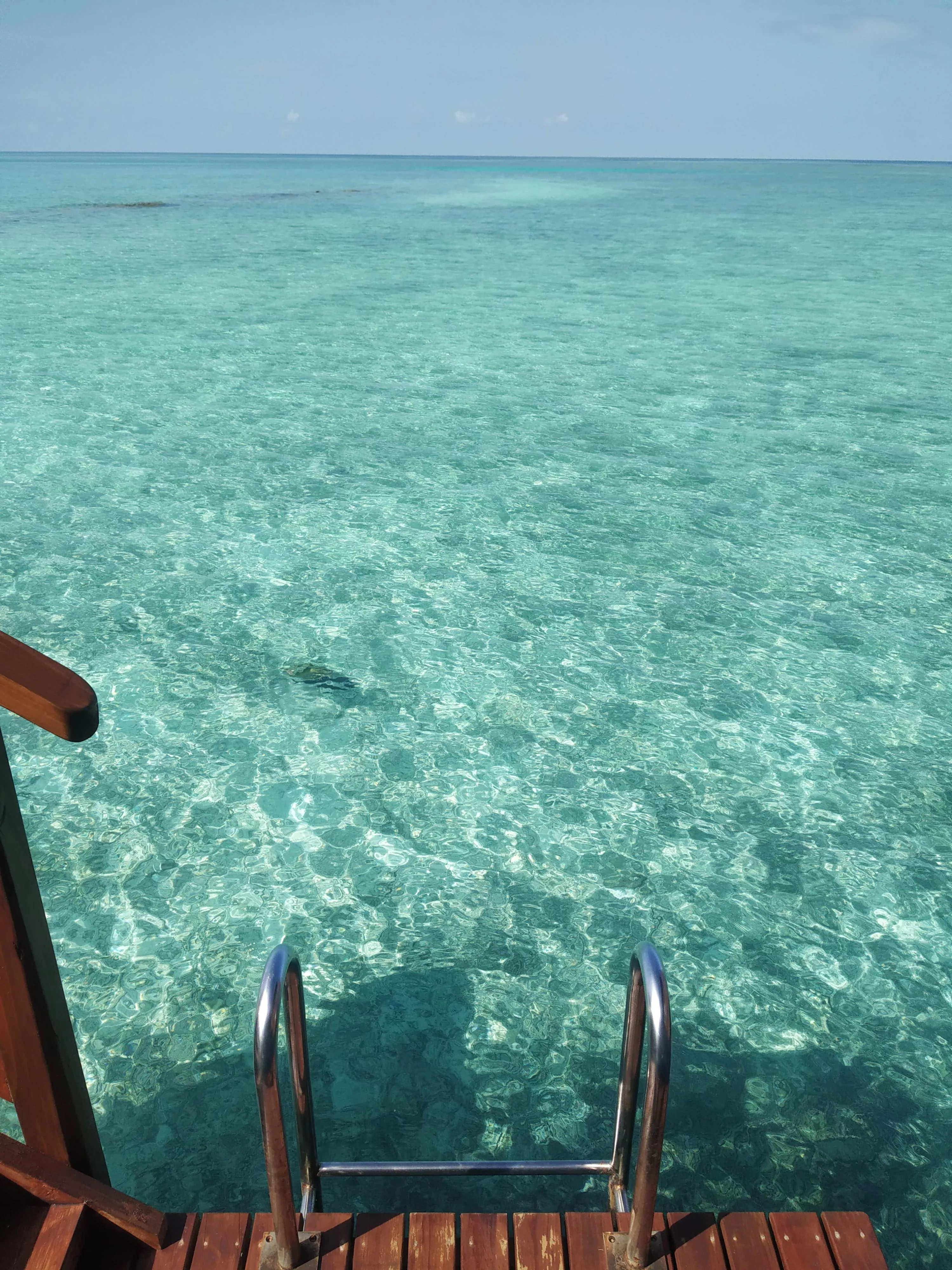 Into the Infinity  posted by ppkpria