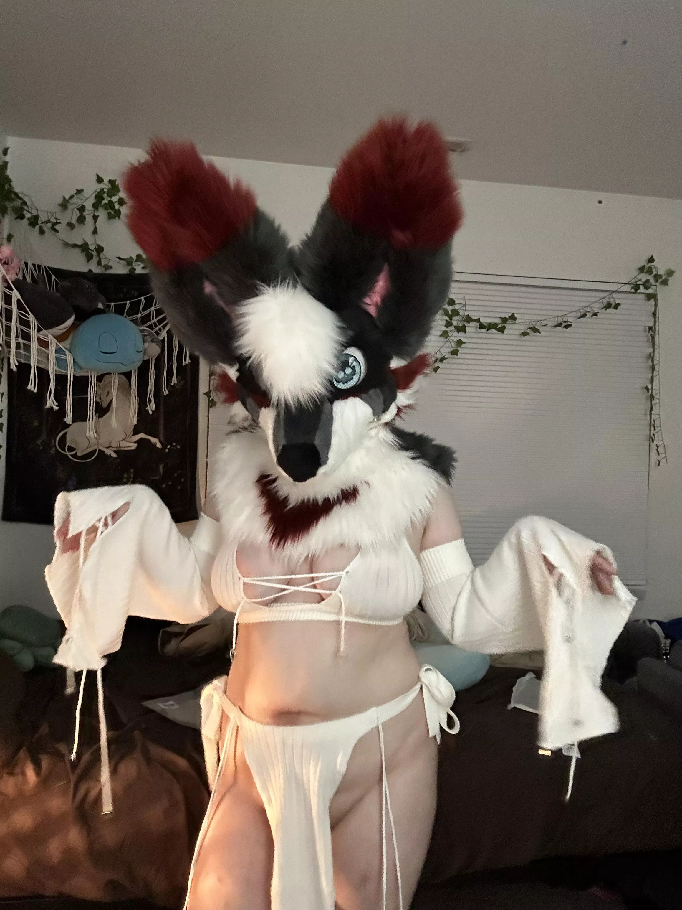 Needing Cash for Rent :3 posted by kyloThePup