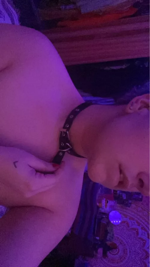 [OC] this pup wishes someone had a leash for him🥺 would someone walk me?👉🏻👈🏻 by hades_sebastian