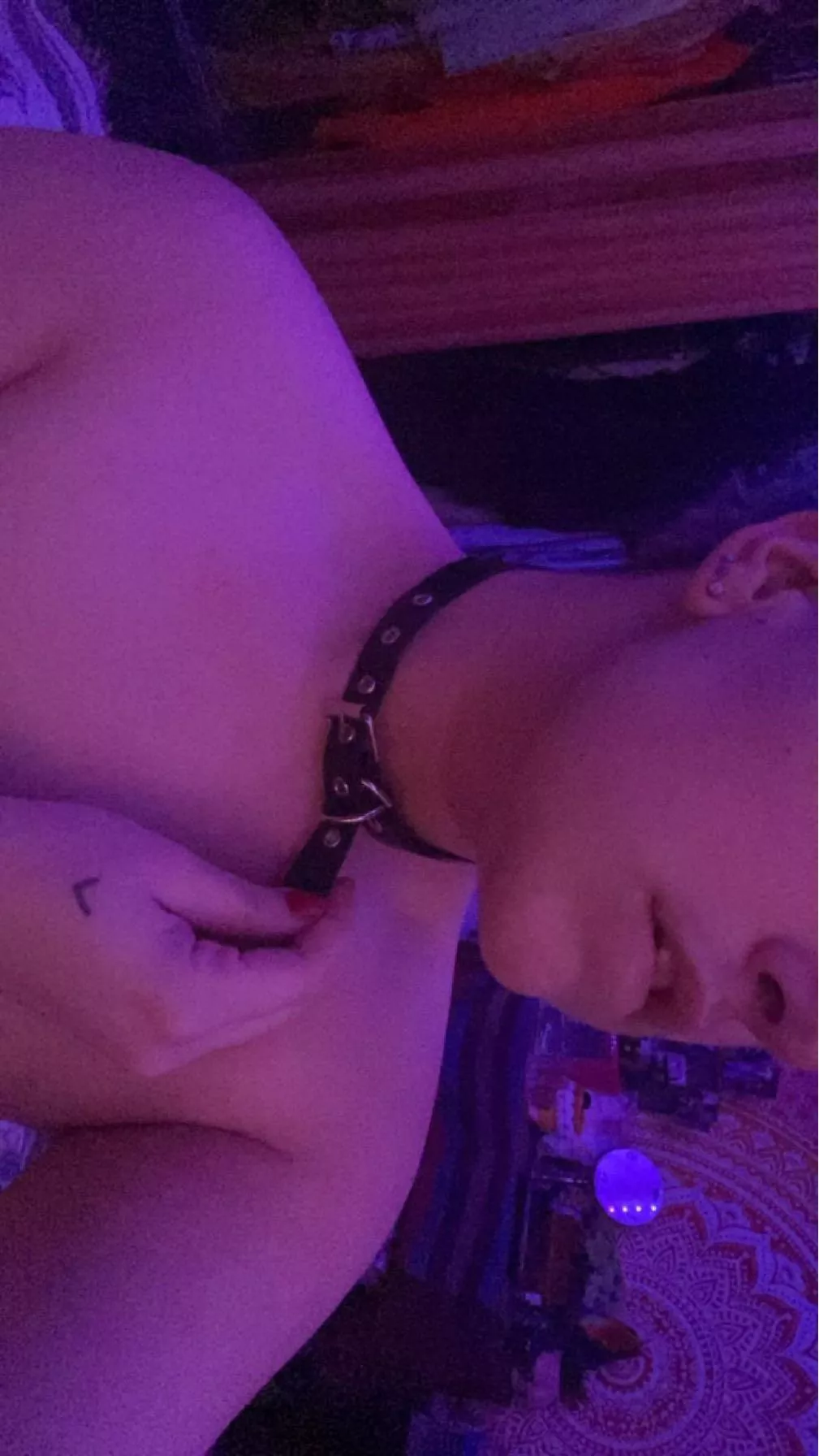 [OC] this pup wishes someone had a leash for him🥺 would someone walk me?👉🏻👈🏻 posted by hades_sebastian