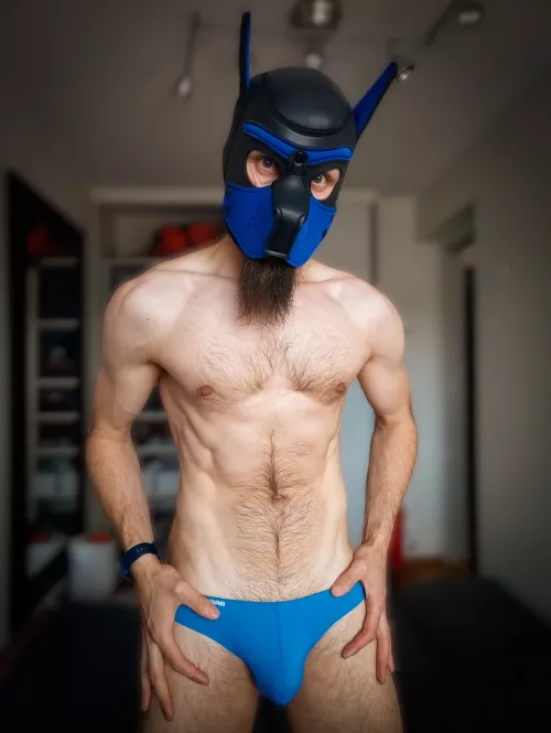 Pup in speedos  by BeardWoof1337