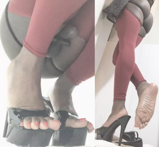 Soles and cock anyone by tgirlshayla