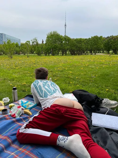 😋 The picnic becomes more interesting! by lumpishSpheroid