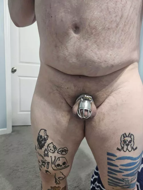 Use me while I'm caged  by Pork85