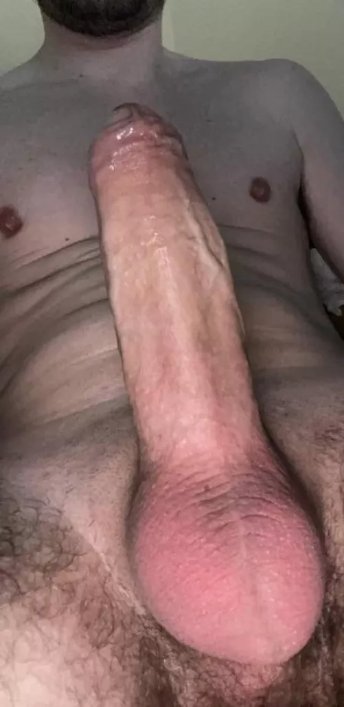 What do you guys think?  by Hornyguy9595