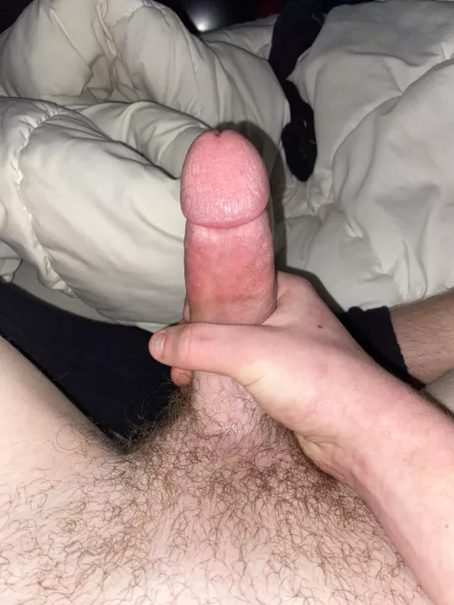 who wants to see me jerk it (DM) by Rich_Requirement_482