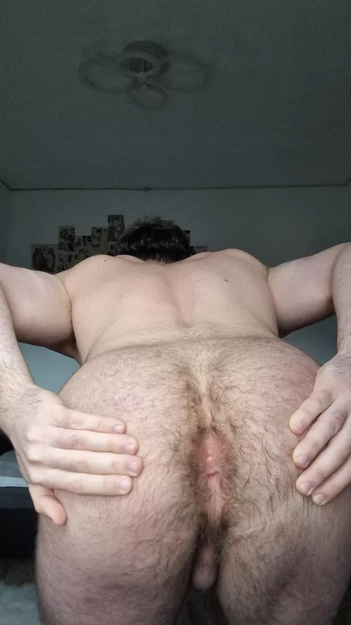 Would you eat my ass? by Luxationers