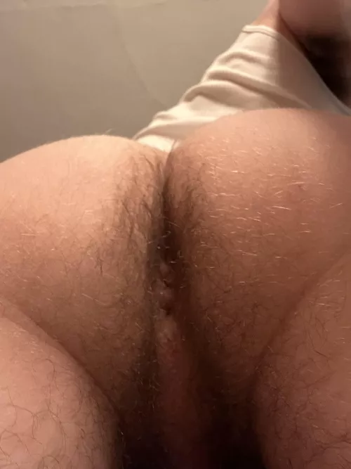 Would you eat my hairy hole by JulianandJason_