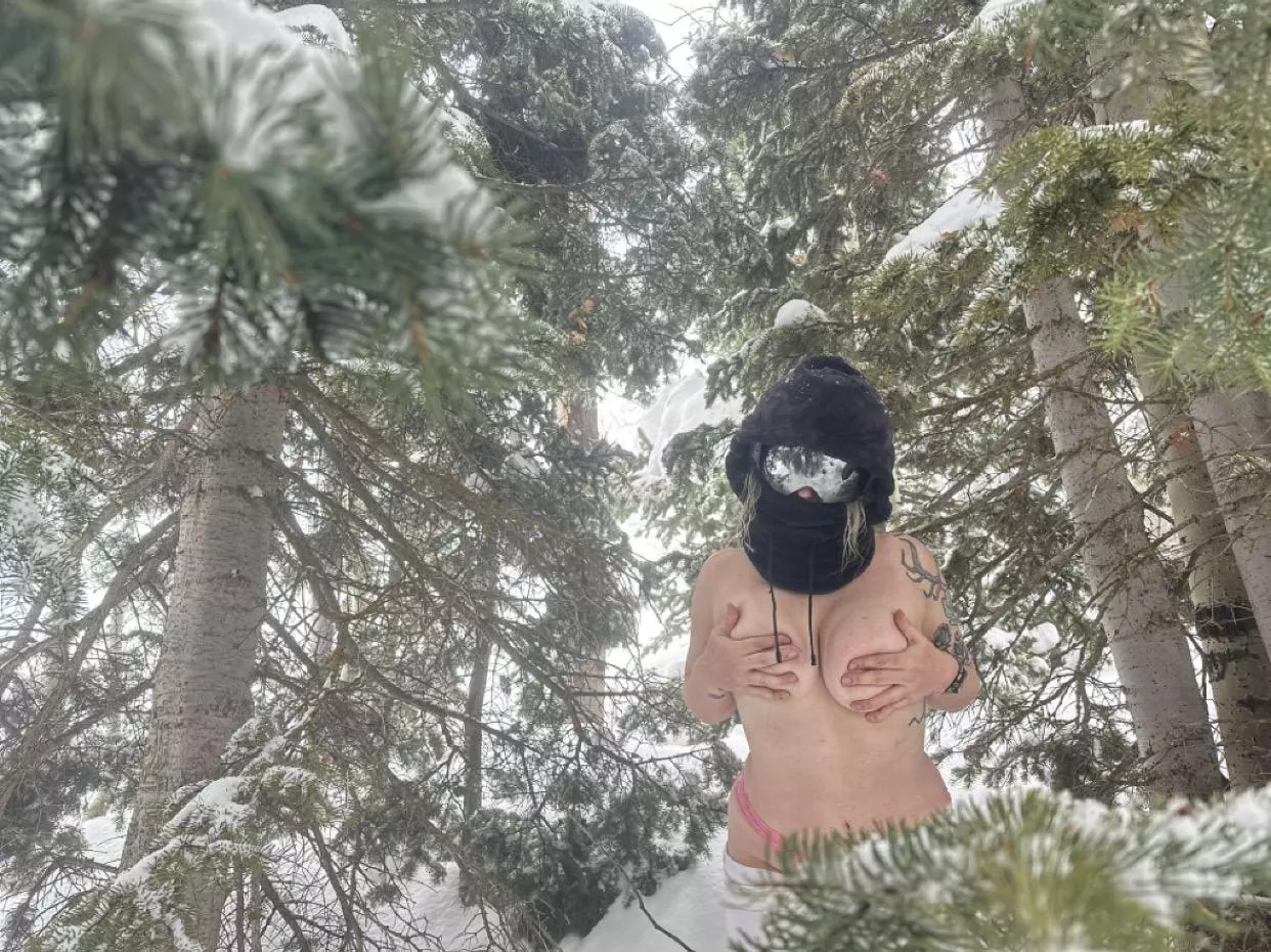 would you ski right past me or stop to play? posted by snonlyfans