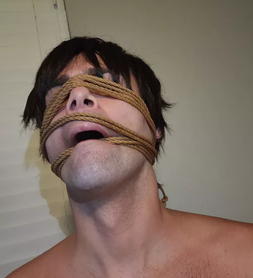 wrapped up in my thoughts by amphybia