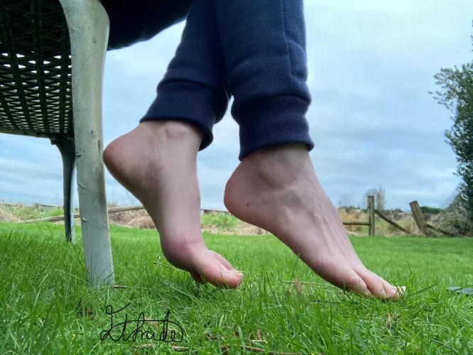 Your view this morning  by Elfrida77