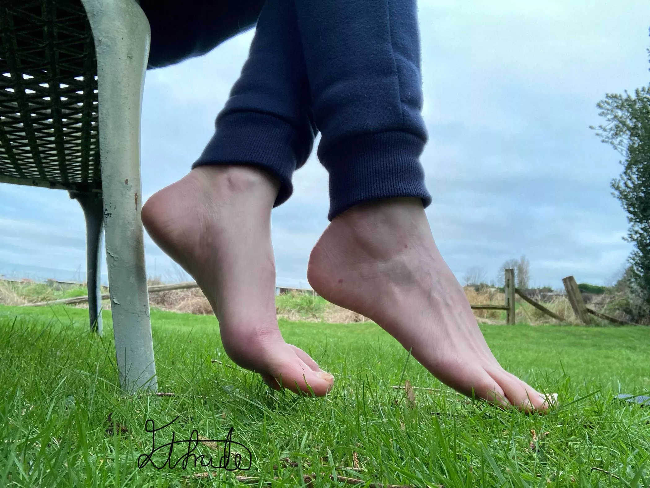 Your view this morning  posted by Elfrida77