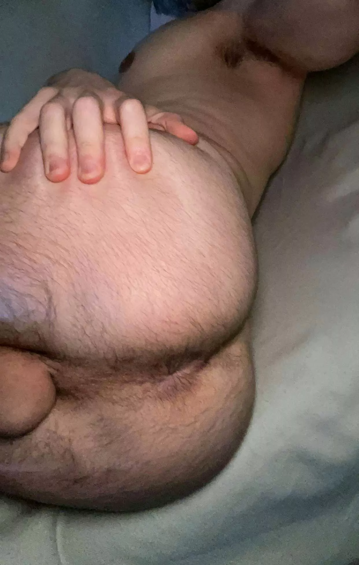 28. Fuzzy boy hole ready for a hung daddy posted by Verspoler