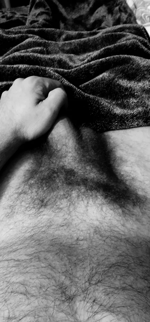 30 uncut hairy into being degraded,  humiliated,  pretty open...anyone welcome hmu gay_piss30  by IncreaseFun3222